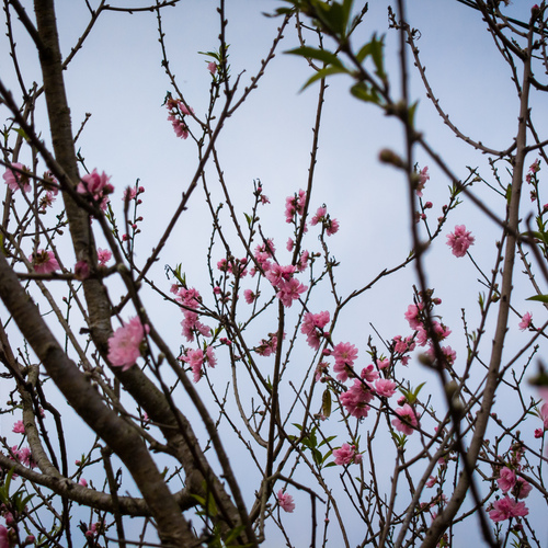 Photo #13874739