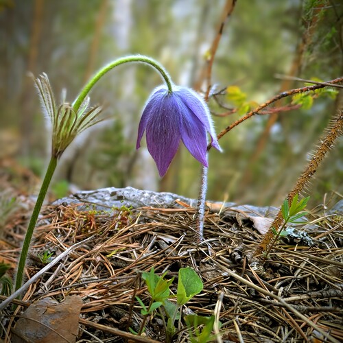 Photo #13874772