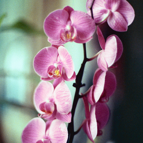 Photo #13874776