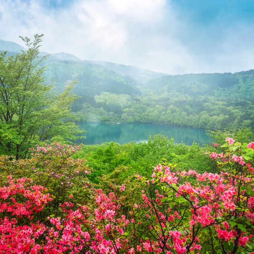 When the Mountains Dream