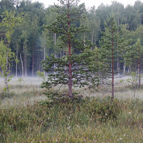 Photo #13874966
