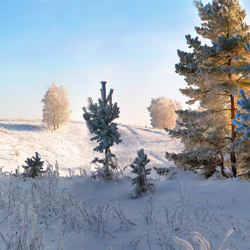 Photo #13875167