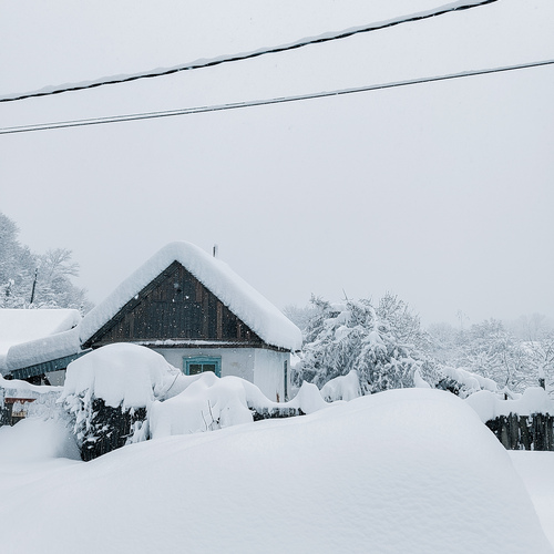Photo #13875296