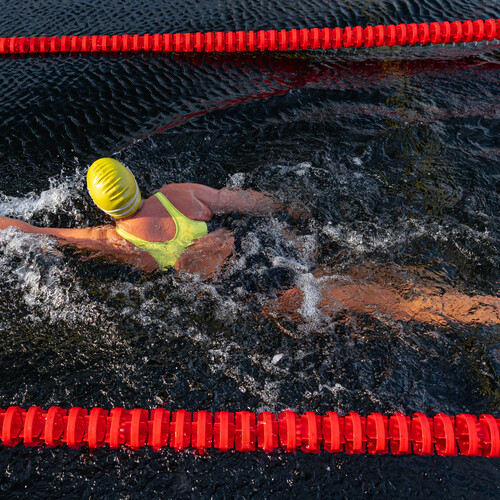 Photo #13875476
