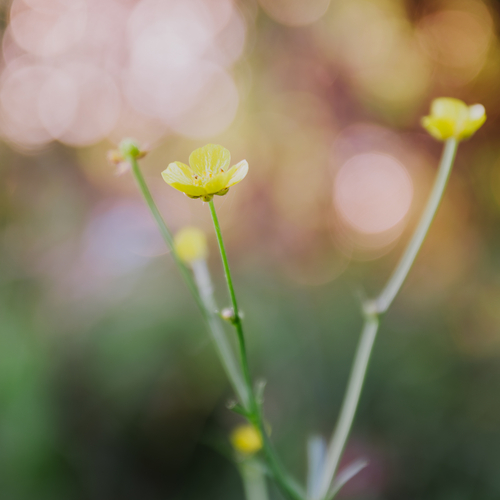 Photo #13875589