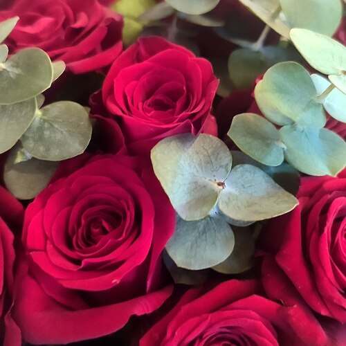 Photo #13875707