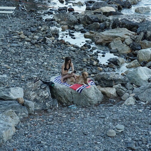 Photo #13875844
