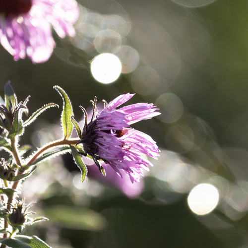 Photo #13875885