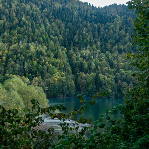 Photo #13875914