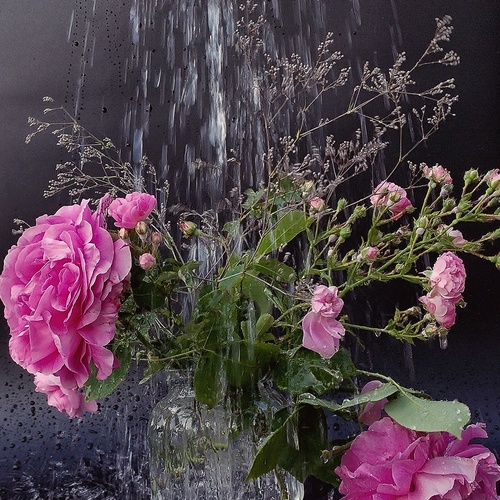 Photo #13876011
