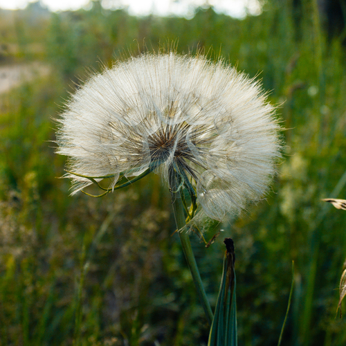 Photo #13876030