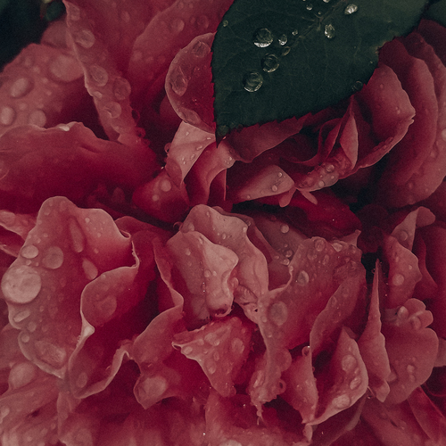 Photo #13876033