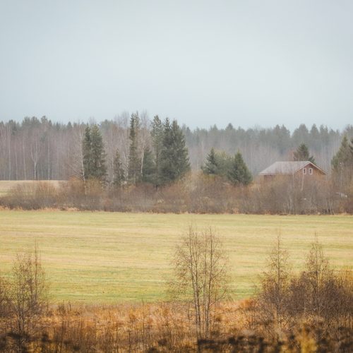 Photo #13876071