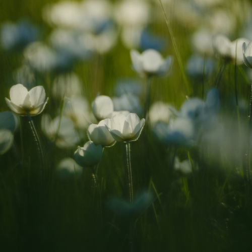 Photo #13876083