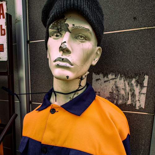 Photo #13876090