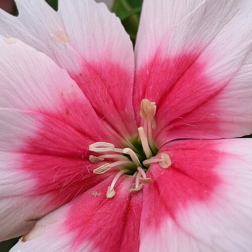 Photo #13876158