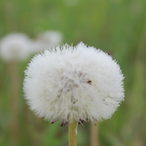Photo #13876207