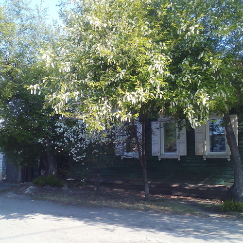Photo #13876274