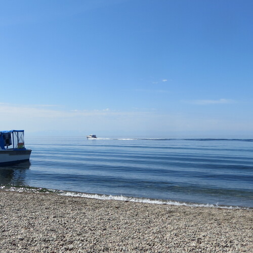 Photo #13876332