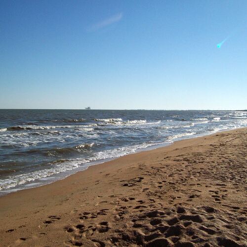 Photo #13876368