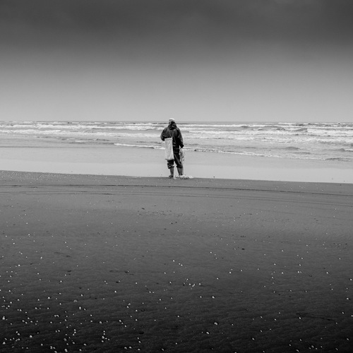 Photo #13876415