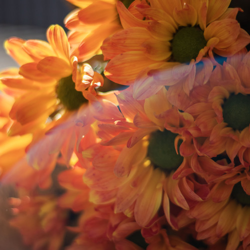Photo #13876494