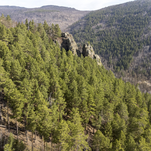 Photo #13876668