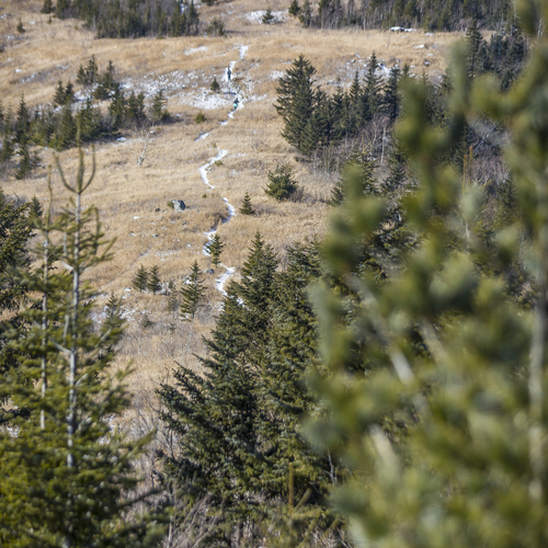 Photo #13876691