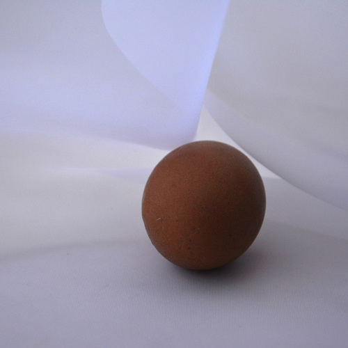 Photo #13876736
