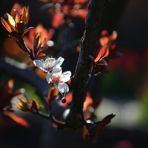 Photo #13876775