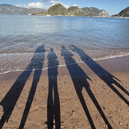 Photo #13876811