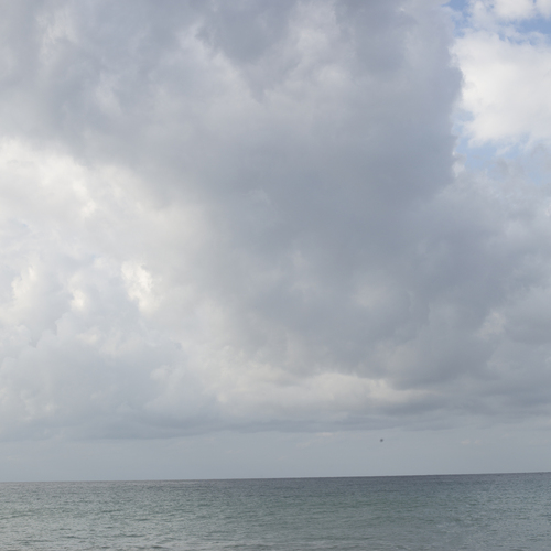 Photo #13876813