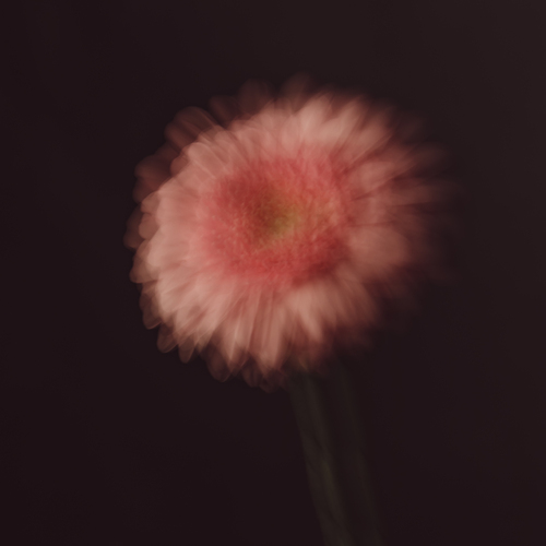 Photo #13876845