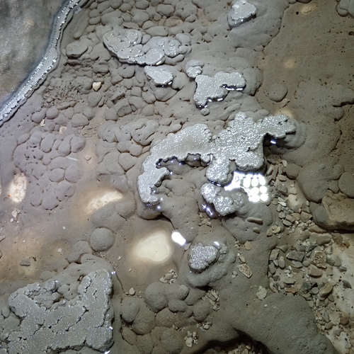 Photo #13876879