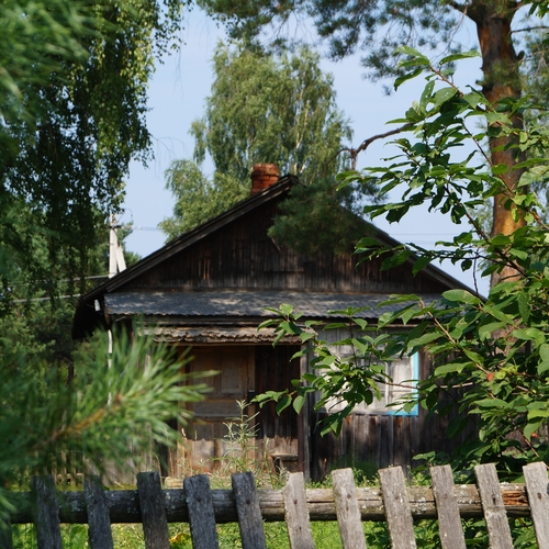 Photo #13876884