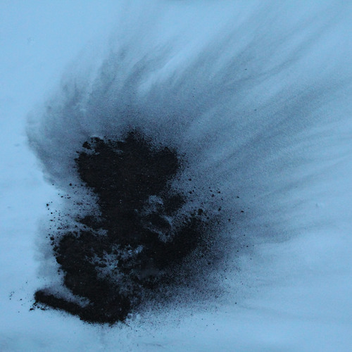 Photo #13877030