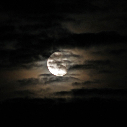 Photo #13877037