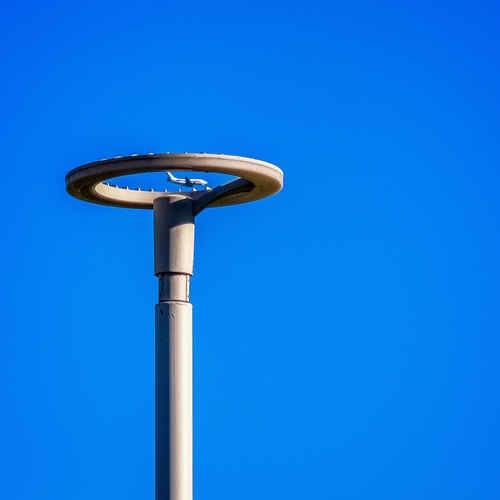 Photo #13877057
