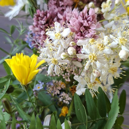 Photo #13877159