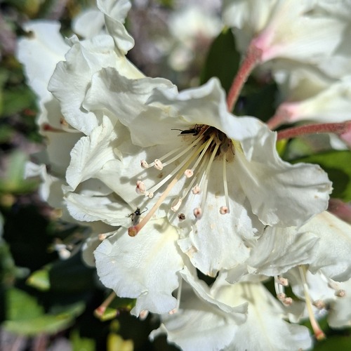 Photo #13877165