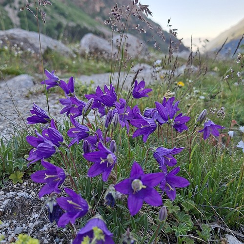 Photo #13877166