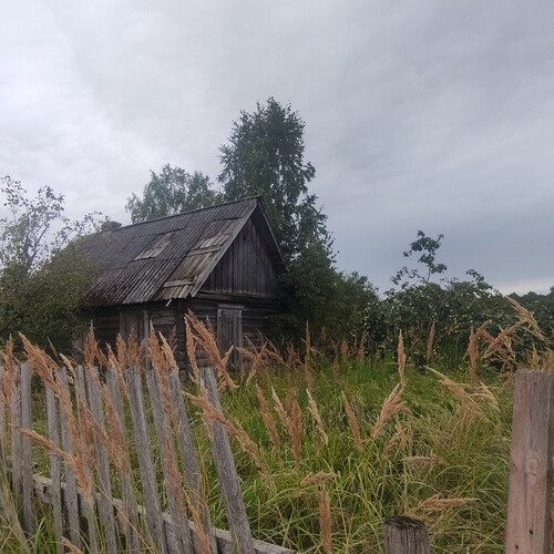 Photo #13877214