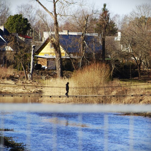 Photo #13877254