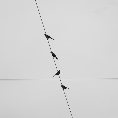 Photo #13877340