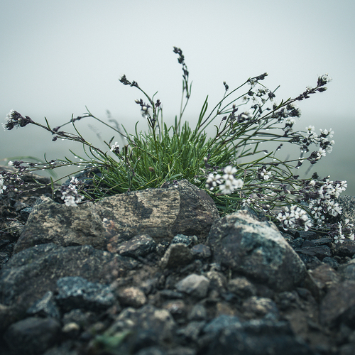 Photo #13877469