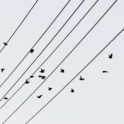 Photo #13877510