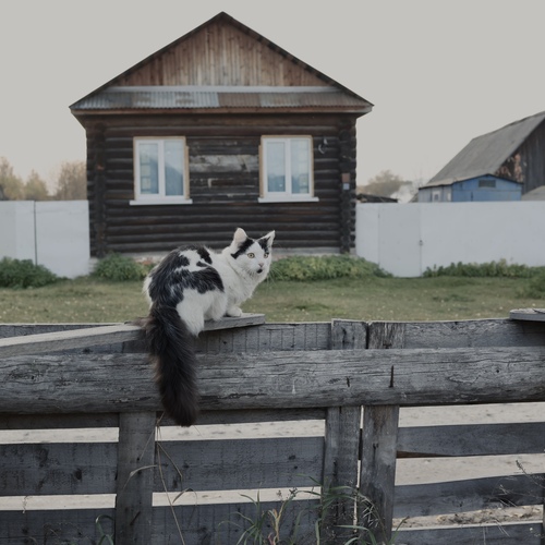 Photo #13877576