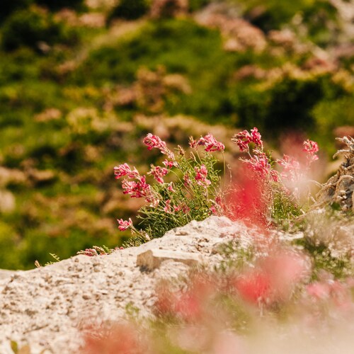 Photo #13877600