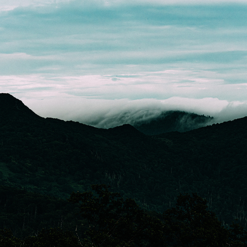 Photo #13877668