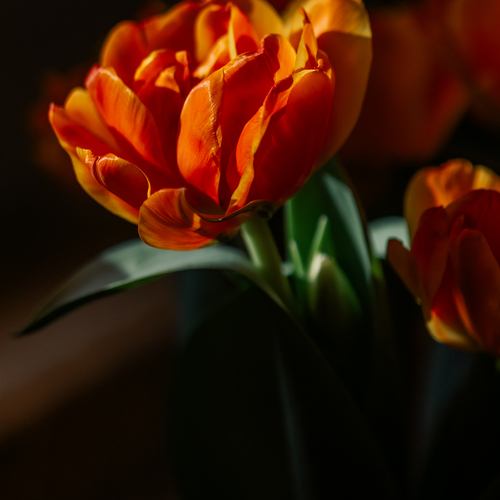 Photo #13877670